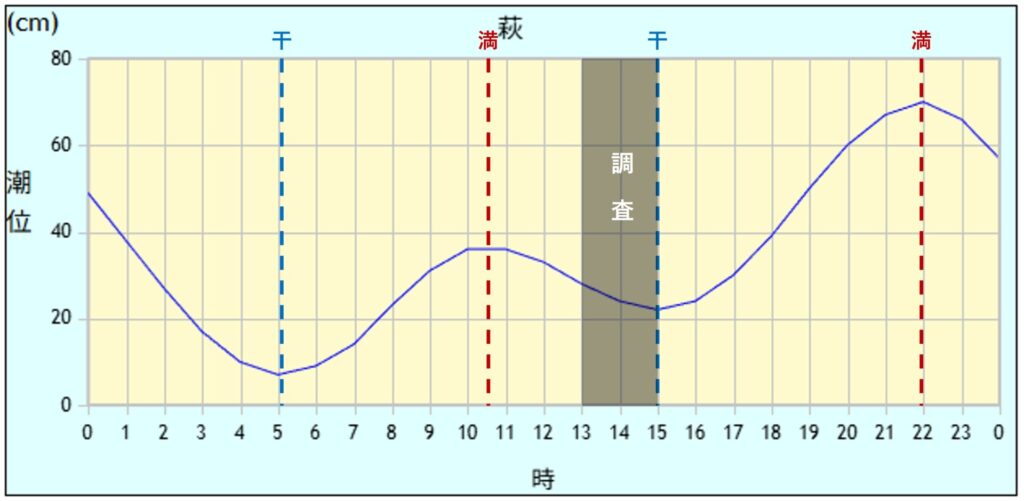 20260215潮位グラフ