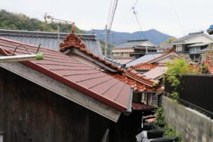IMG_2432