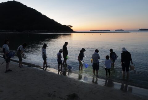 IMG_9033.JPG_compressed