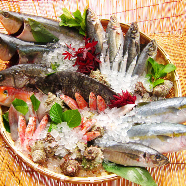 萩の魚介類の写真