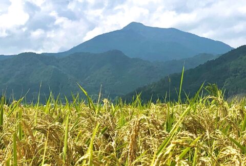 photo_20251114-023236