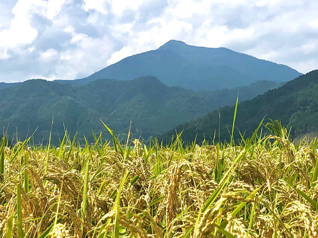 photo_20251114-023236