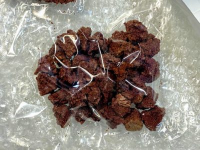 ジオ菓子「笠山火山スコリア」の試作品。石にしか見えない？！（１粒だけ本物が混じっています）