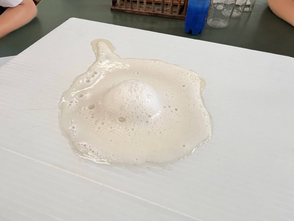 光塩